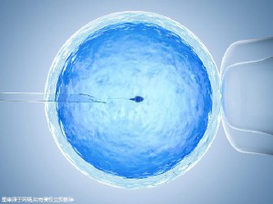 42岁高龄成功案例