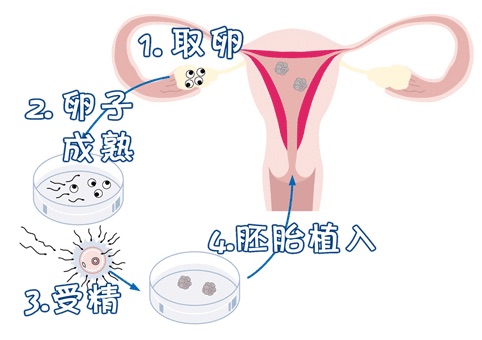 明远生殖医学中心